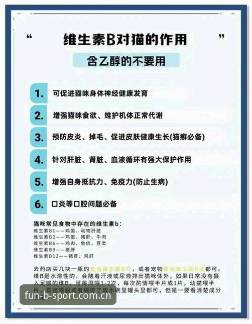 Bsport体育平台功能完整指南：从注册到实战的快速上手指南