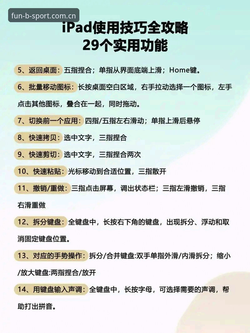 BsportAPP功能实用指南：从新手到高手的必备知识
